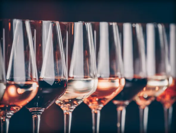 Row of wine glasses with red and white wine, close-up with a blurred background.